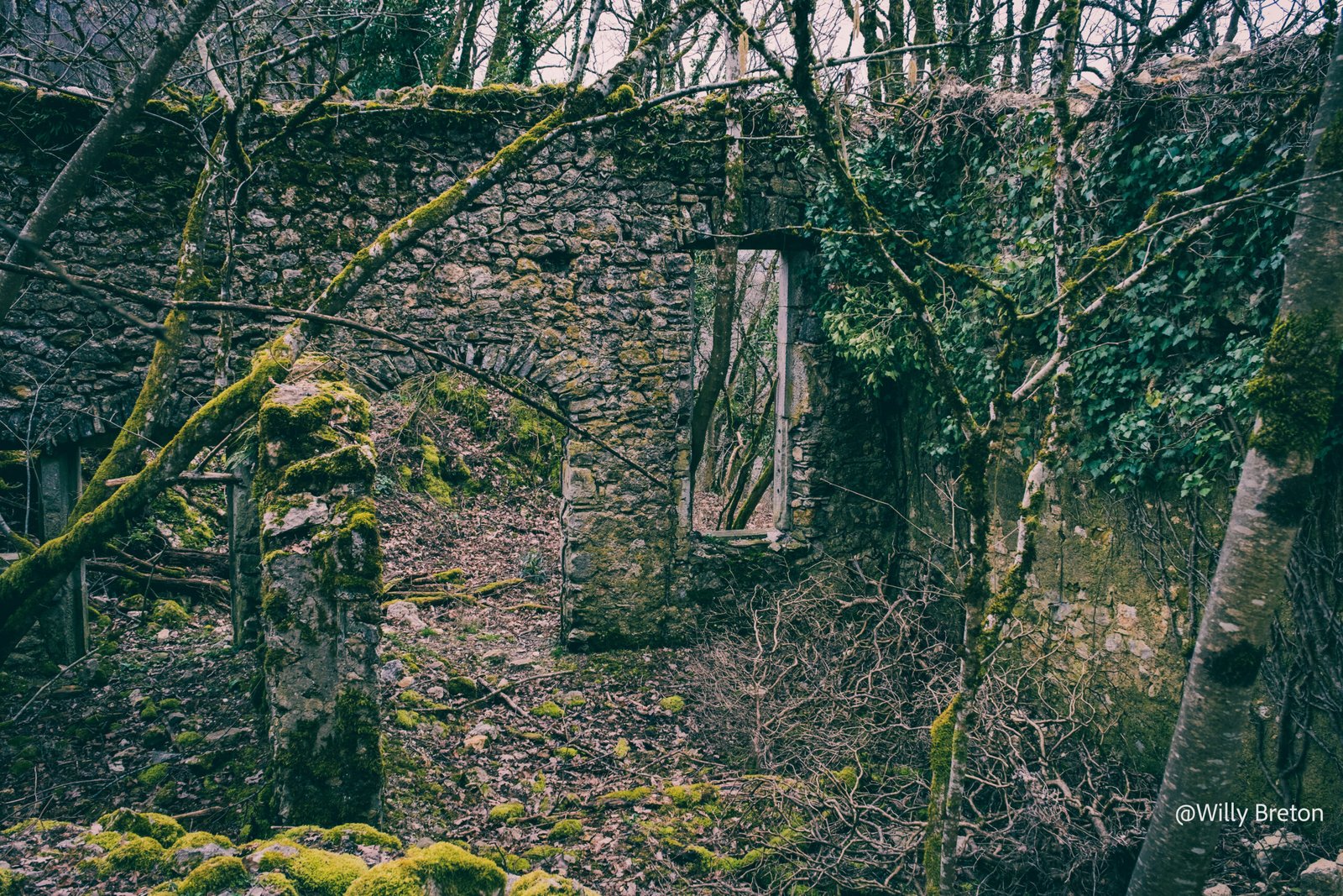 Ancienne structure en pierre dans une forêt, recouverte de mousse, représentant la nature reprenant ses droits sur l'homme.