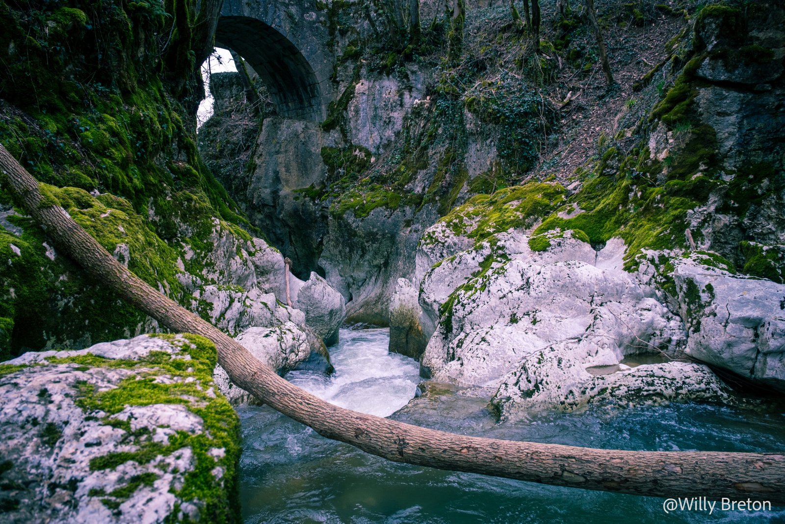 Rivière encaissée serpentant à travers une gorge rocheuse couverte de mousse, avec un pont en pierre en arrière-plan et un tronc d'arbre en travers de l'eau.