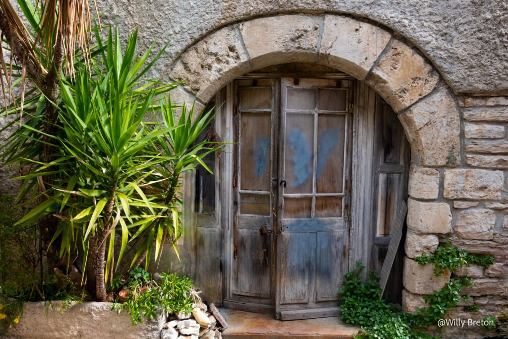 Vieille porte en bois encadrée par une arche en pierre, entourée de plantes vertes, évoquant le charme rustique et naturel.